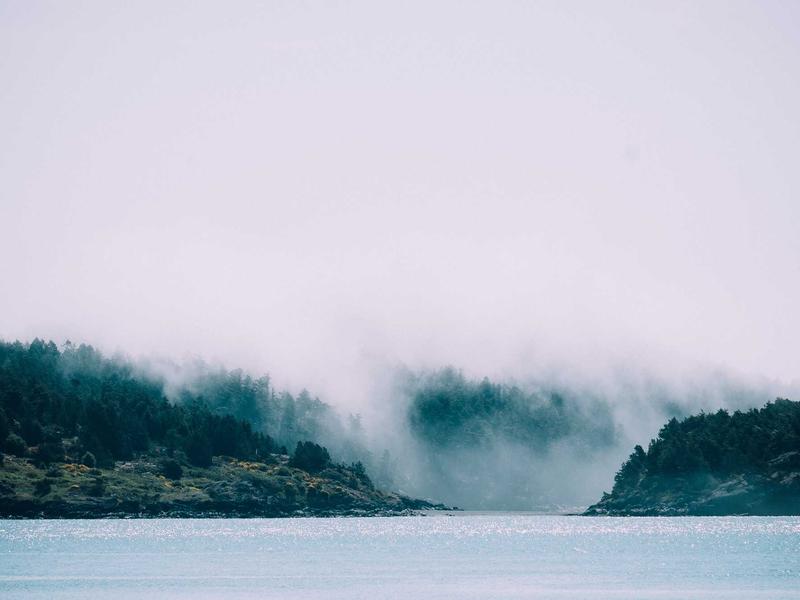 sudoku x-wing screenshot 4